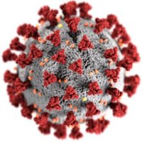Canadian COVID Registry (@covid_registry) 's Twitter Profile