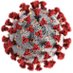 Canadian COVID Registry (@covid_registry) Twitter profile photo Canadian COVID Registry (@covid_registry) Twitter profile photo