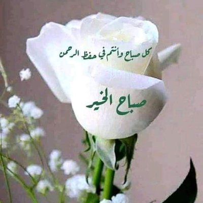 Manarrachdi1's profile picture. Serviable