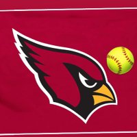 Mentor Cards Softball(@MHSsoftball24) 's Twitter Profile Photo