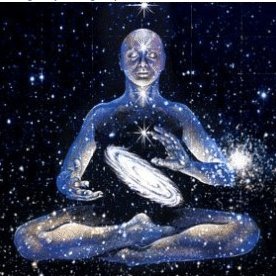 TheDawk_'s profile picture. political bites.