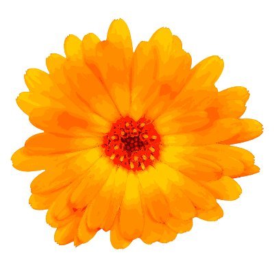 LonelyCalendula's profile picture. 20+ | I support art and artists :) | Pokemon, Final Fantasy, NieR, Zelda, Genshin Impact