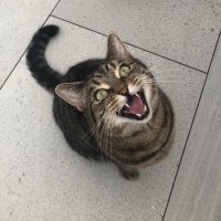 Digby (@leicester1992) 's Twitter Profile Photo Digby (@leicester1992) 's Twitter Profile Photo