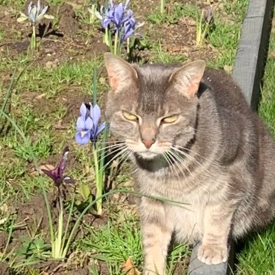 kilifl0's profile picture. Be nice, don’t be a prick