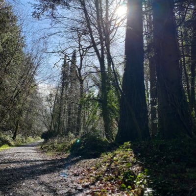 An ancient native Irish woodland located in the beautiful village of Killeagh, Co.Cork. Tag me in your walks and trails