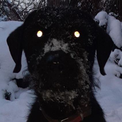 bbogdanski2's profile picture. 