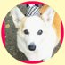 ルーシーるう (@nvkmzulfs7ybgq6) Twitter profile photo ルーシーるう (@nvkmzulfs7ybgq6) Twitter profile photo