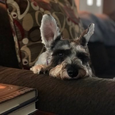 CountGuntherVM's profile picture. 