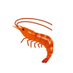 海老🦐甲殻類 (@ebisualkei) Twitter profile photo 海老🦐甲殻類 (@ebisualkei) Twitter profile photo
