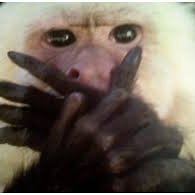 p_kyoung_h's profile picture. 한국성우 좋아함//// 격하게 좋아함 헠헠