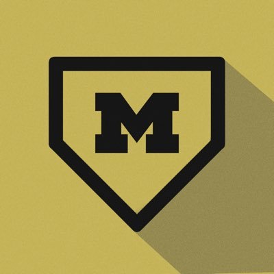 MHSTigerBSBL Profile Picture