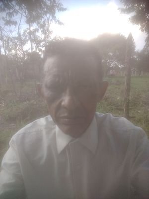 virgiliofarias4's profile picture. 