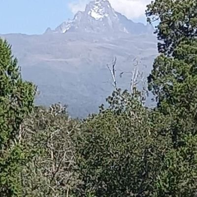 CoroShofar's profile picture. https://t.co/4WunHzdeOr

God's messenger. 
Revelation 20:1-7 .Time is nigh. I shall serve to be part of the kingdom.