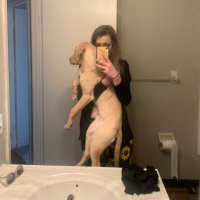 Shelby (@shields_shelby) 's Twitter Profile
