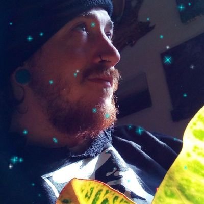 FictionBassed's profile picture. 