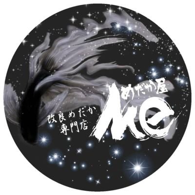 medakaya_me's profile picture. 大阪🏯Ｍｅと書いて【ミー】と読みます🌟
大阪府東大阪市宝持2-6-8にて、改良めだか無人販売所やっています🐟
Amazon、Yahoo、Baseにて生体、各種用品販売してます🎵
バルーンモーリーの販売も行っています🐠

主にInstagram更新しています🙇‍♀️