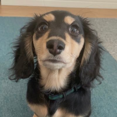 toratora_1130's profile picture. 