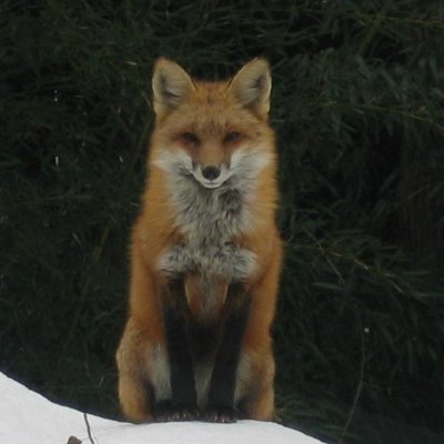 ldredd4's profile picture. 