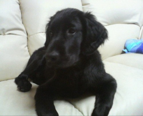 Likky0717Kamui's profile picture. Hello(^_^)I'm 29 years old. I love Japan &&& New Zealand &&& Korea(⌒▽⌒)