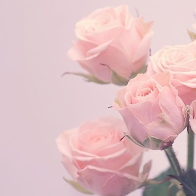 ❄83☁️さんのプロフィール画像