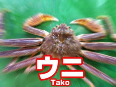 Kail0627's profile picture. 