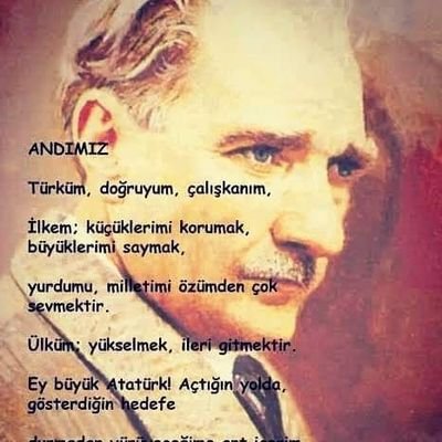 Patriote! Kémaliste et Anti Erdogan carabiné!!!