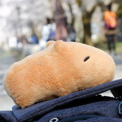 wolfinsheep3's profile picture. IT業界にひっそりと生息しています。
一条工務店のi-smile+で30坪、2階リビングのお家ができました。程よく快適で住宅の生涯コストを抑えることが目標です。オール電化で年間電気代が10000円以内、電力自給率97.6%の非常識なお家ができました。秋は妖怪布団かけが活躍する。
ロードバイク歴は2年半くらい。