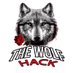 THE WOLF HACK (@mohammad_fadel1) Twitter profile photo THE WOLF HACK (@mohammad_fadel1) Twitter profile photo