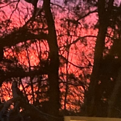 freno985's profile picture. 