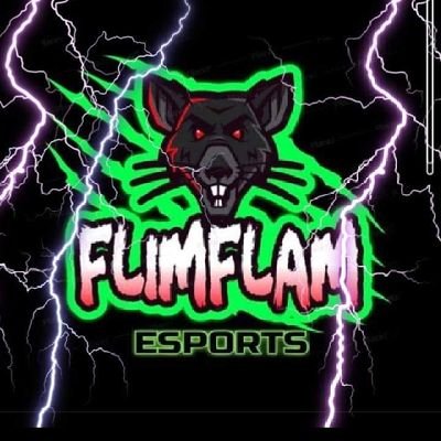 FcFlammin's profile picture. we are an competitive eSports FIFA pro clubs team competing at @ps4 @ps5 @officialvpg @weekendvpg