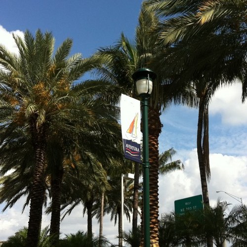 AVNDaily's profile picture. Aventura Daily - 33180's Guide