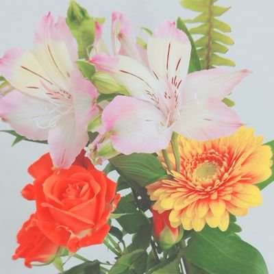 瑞穂𓂃 𓈒𓂂𓏸さんのプロフィール画像