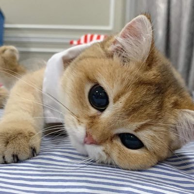 Jaokarn's profile picture. 