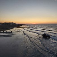 Alison Sheppey (@alisonsheppey) 's Twitter Profile