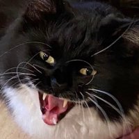 ehren bienert (@bienertehren) 's Twitter Profile Photo