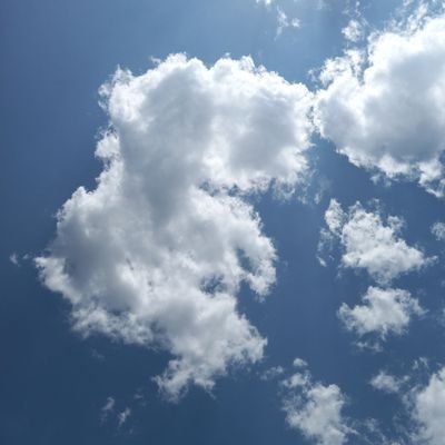 MDCCLXXVIIA's profile picture. Teacher of physical education/biology.