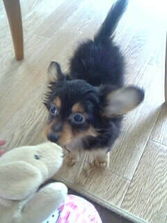 JUN_N_twit's profile picture. 都内ｱﾊﾟﾚﾙﾒｰｶｰ勤務 ,ﾚﾃﾞｨｽｷｬﾘｱﾌﾞﾗﾝﾄﾞ企画担当 ,ｷﾞﾀｰおたく♂ Gibson Les Paul custom ,Charvel Dinkyを主に使用 ,ｱﾝﾌﾟはMarshall ,80’s HR/HMが好き。渋谷区神宮前、倉吉東高、専大、MICHEL