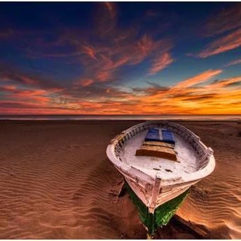 delCabanyal's profile picture. Enamorat del meu poble, de la mar i de l'horta. Profundament antifeixista i feminista. Ecologista practicant.
I granota, per suposat!😊🐸