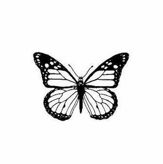 yagodacringe's profile picture. 18 y.o./🐝🌈/ переводчик по образованию (в процессе), психолог в душе 💡