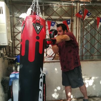 Vicenticolfc1's profile picture. Informático 💾