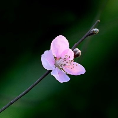 Duy_240175's profile picture. Men