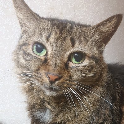 たまいさんのプロフィール画像