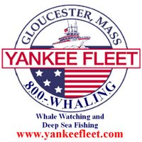 Yankee Fleet (@yankeefleet) 's Twitter Profile