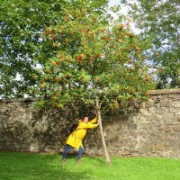 Paula Pflitsch (@paulapflitsch) 's Twitter Profile