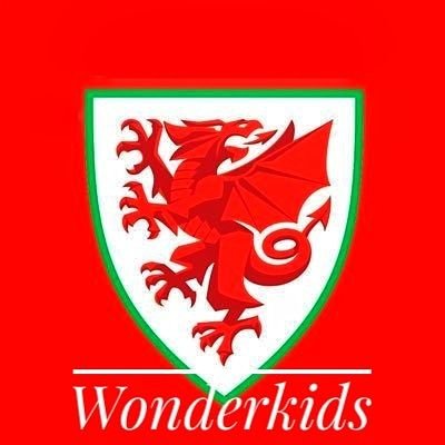 Welsh Elite Youth Academy Footballers,
Player Profiles. #TheNextGen
No Copyright Intended
#TheRedWall 🏴
Fan run page
