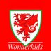 @WelshWonderkids (@Welshwonderkids) Twitter profile photo
