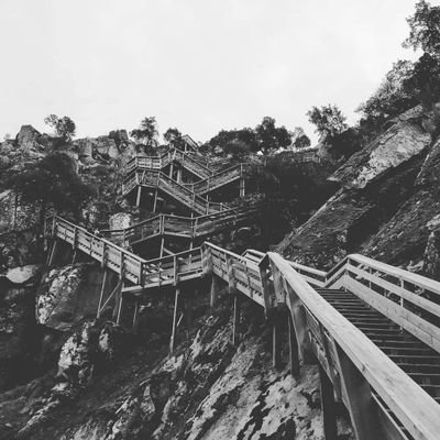 Luciosequeira2's profile picture. 👨‍👩‍👧‍👦🚲