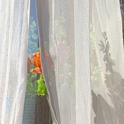 qurlyenomoto's profile picture. 欲張りなゼニ〜エンジェル