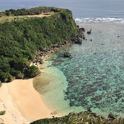 python66333841's profile picture. 