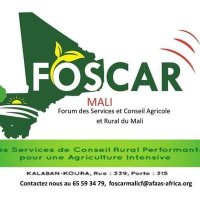FOSCARMALI CF (@foscarmalic) 's Twitter Profile